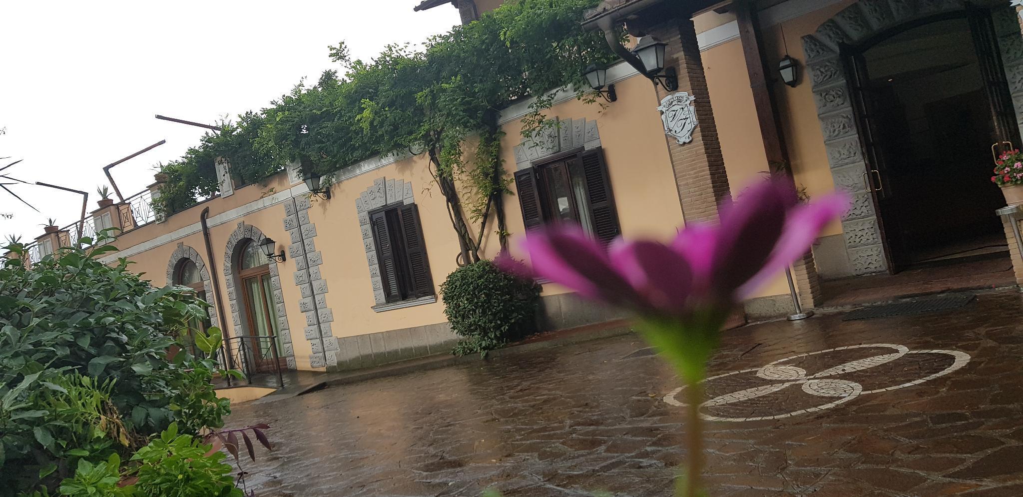 Villa Icidia Frascati Exterior photo